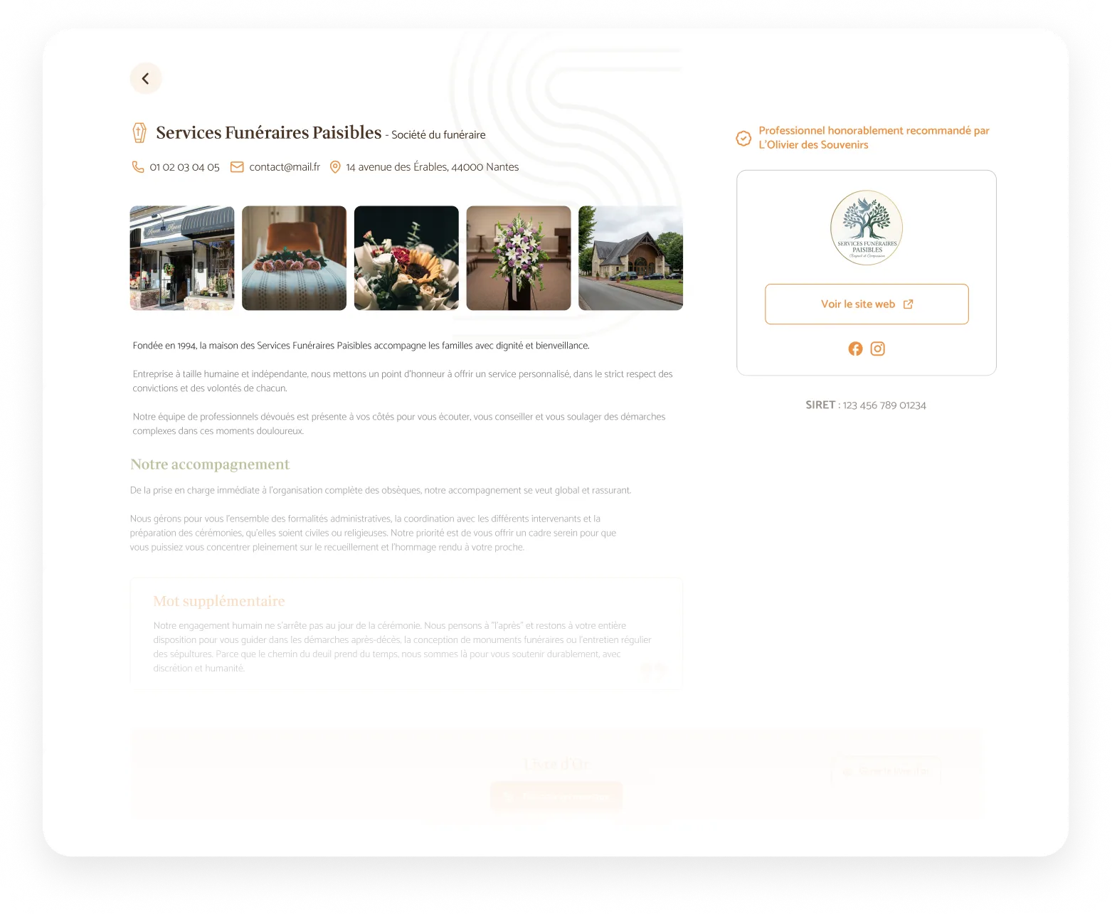 Aperçu — choix du type de structure professionnelle